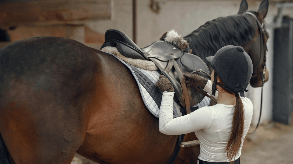 Saddle Fitting: Optimización profesional del ajuste de montura
